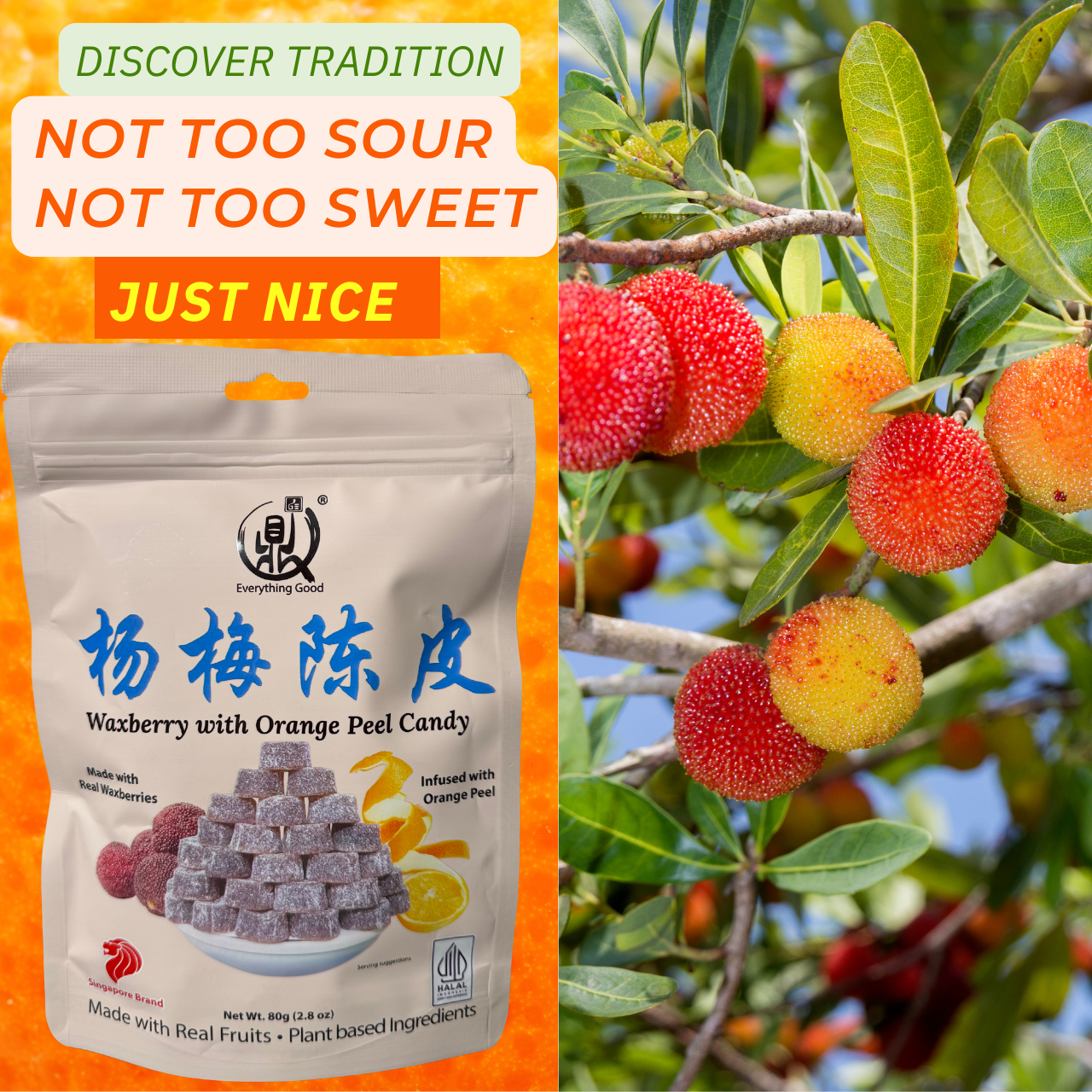 Sour Plum / Waxberry (陈皮梅/杨梅陈皮)